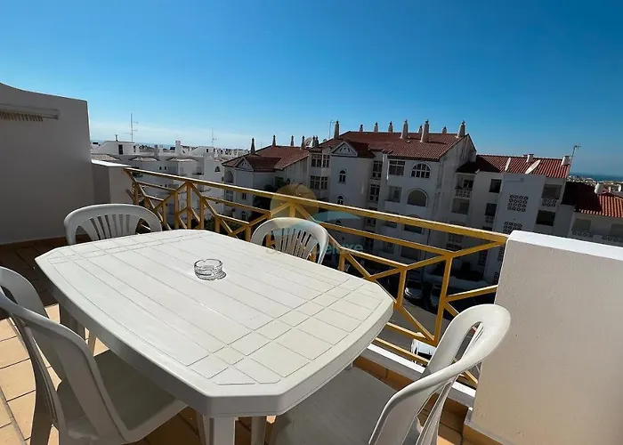 Alta Oura Prime By Sunny Deluxe *